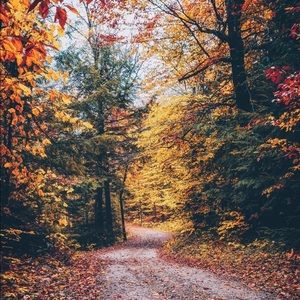 Meet your Posher, Clary